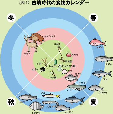 〈図1〉古墳時代の食物カレンダー