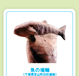 魚の埴輪（千葉県芝山町白枡遺跡）