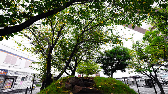 Fujinomori Kofun Stone chamber