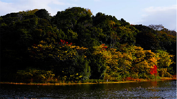 Gobyoyama Kofun