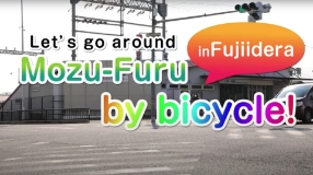 Let's go around Mozu-Furu by bicycle! in Fujiidera