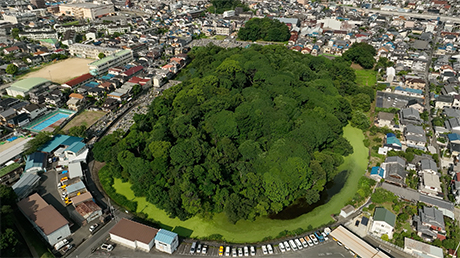 Hakayama Kofun