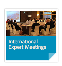 INTERNATIONAL EXPERT MEETING