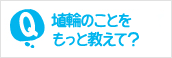 埴輪のことをもっと教えて？