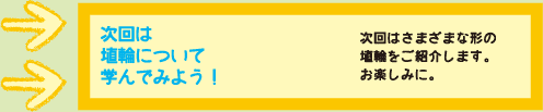 次回は埴輪について学んでみよう！