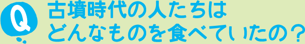 古墳時代の人たちはどんなものを食べていたの？