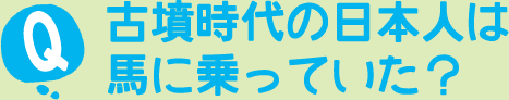 古墳時代の日本人は馬に乗っていた？