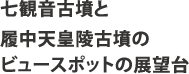 七観音古墳と履中天皇陵古墳のビュースポットの展望台