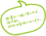 周濠も一緒に見られる後円部。拝所は南側にあります。