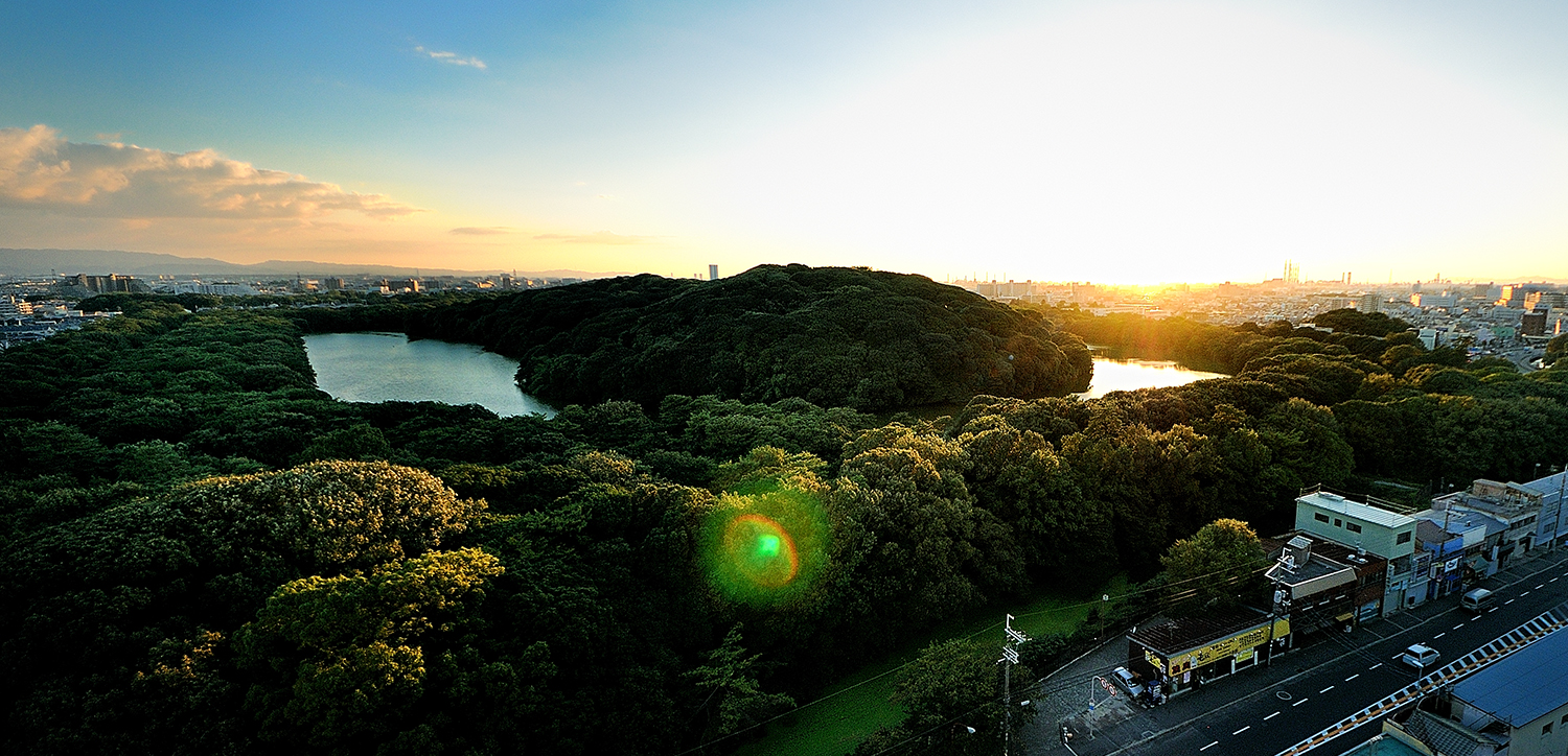 百舌鳥・古市古墳群「ワ」の物語