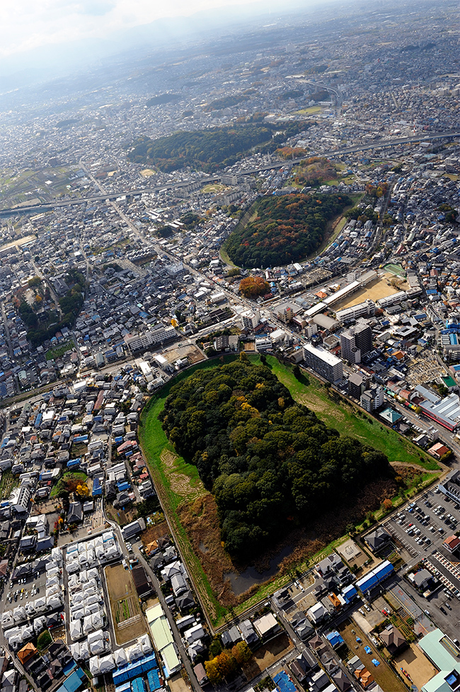 古市エリア