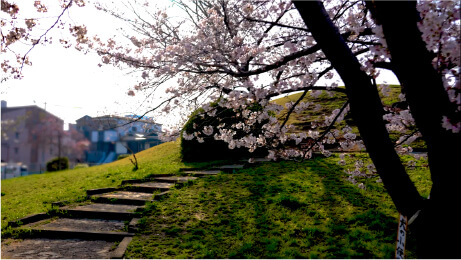 定の山古墳