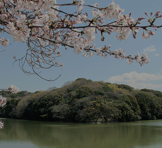 交通指南